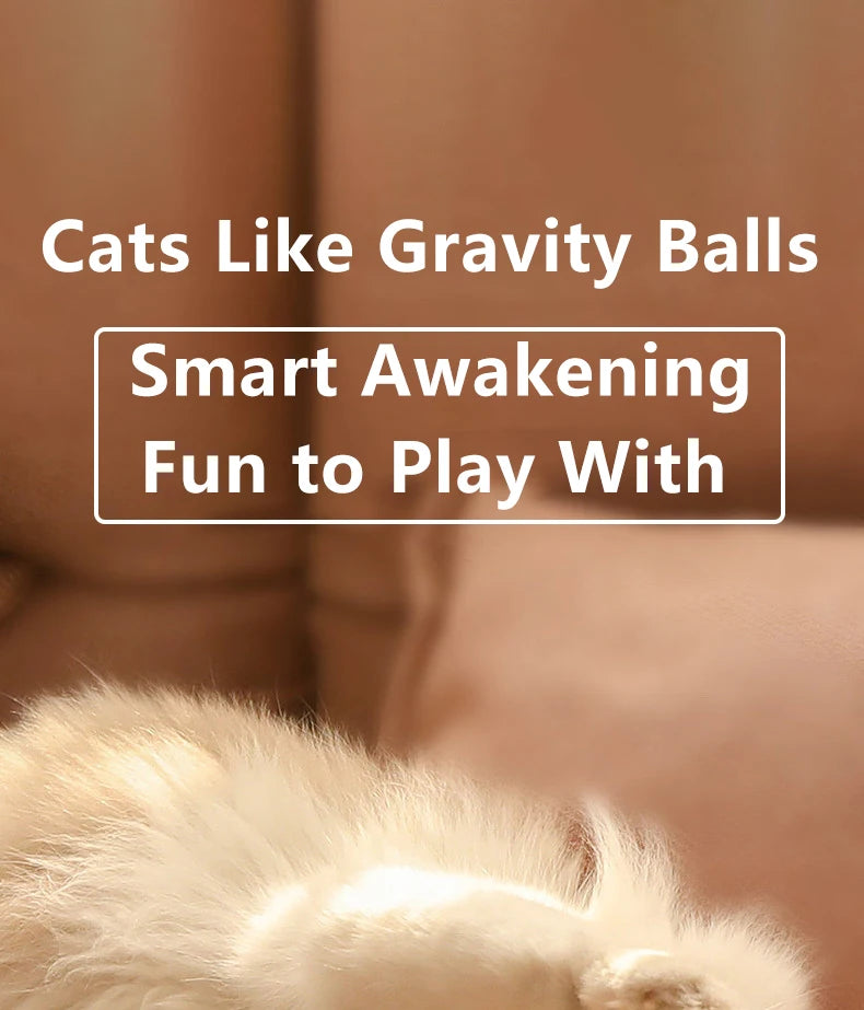 Bola Interactiva Automática Rodante Mágica para Gatos (Juguete Inteligente Electrónico Interior) Accesorios Juego Gato (2 Unidades)