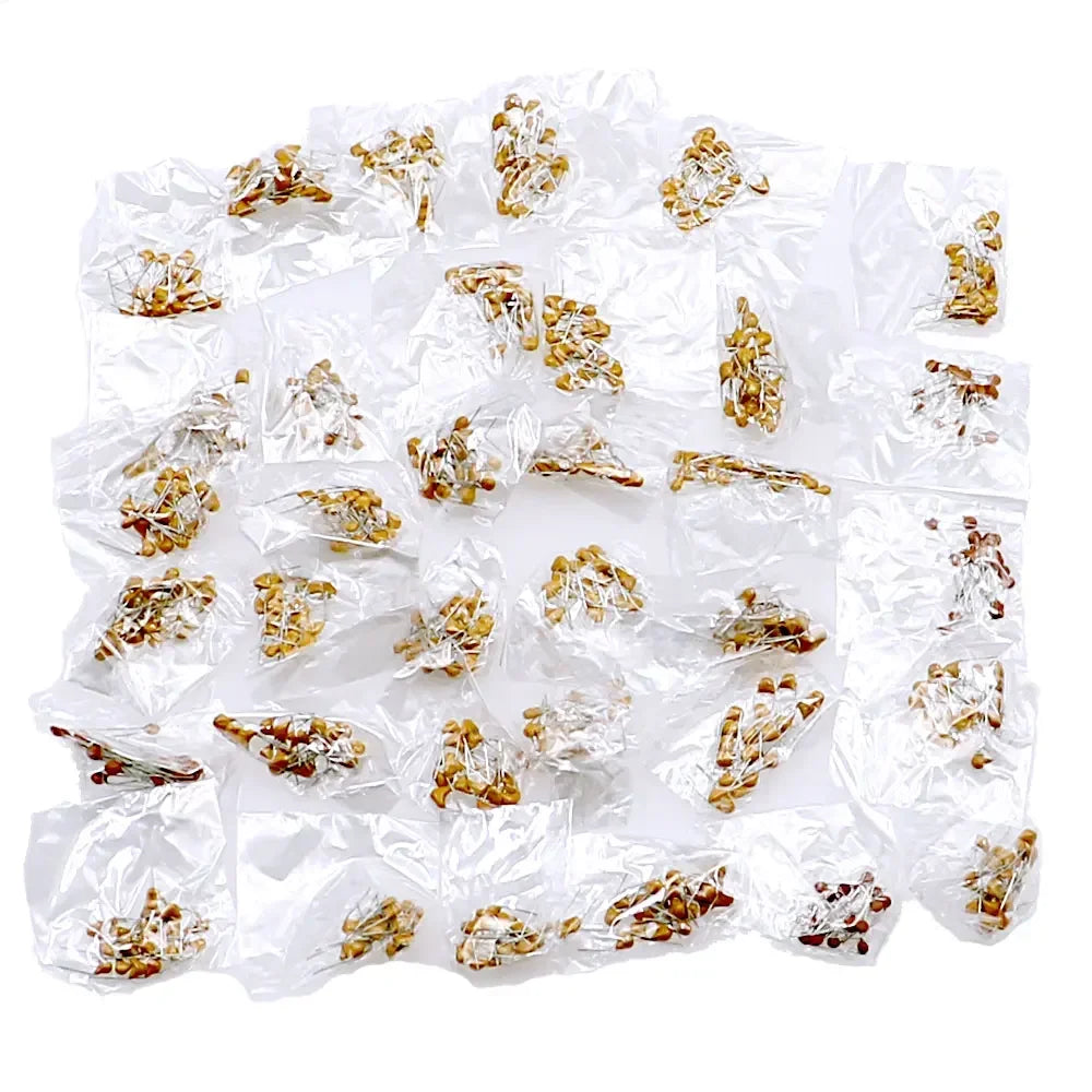 Kit Surtido Capacitor Cerámico Multicapa (8pF-2.2uF, 35 Valores) - Pack 700 Unidades