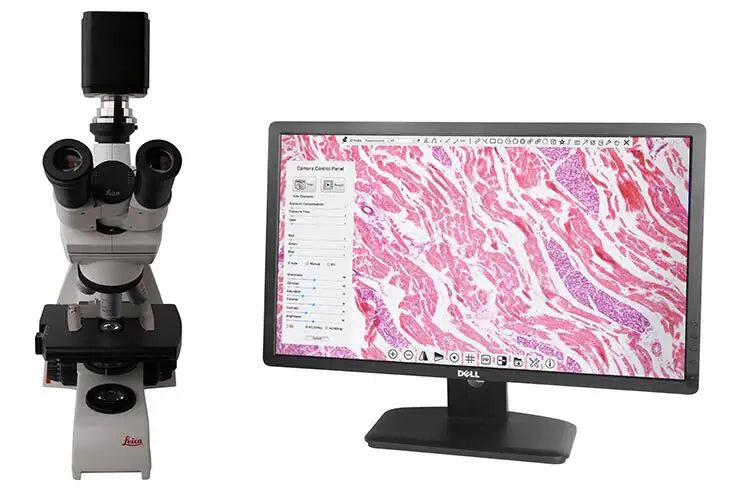 Cámara Microscopio 4K Ultra HD (8MP, 60fps) - Sensor Sony IMX678, Enfoque Automático, Salida HDMI/USB/WiFi/GE