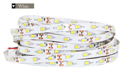 Tira LED 2835 SMD 12V (60 LEDs/m) Alta Luminosidad - Rollo 5 Metros