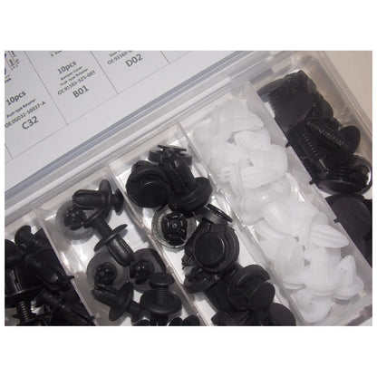 Clips Plásticos Surtidos Sujeción Auto (Remaches Retenedores Fijación Puerta) con Herramientas Desmontaje (100 Piezas)