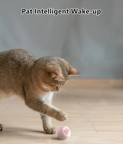 Bola Interactiva Automática Rodante Mágica para Gatos (Juguete Inteligente Electrónico Interior) Accesorios Juego Gato (2 Unidades)