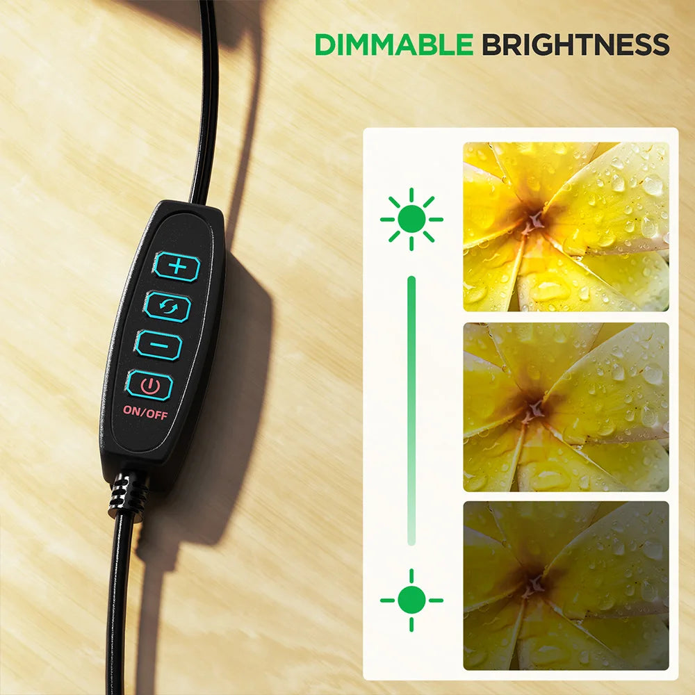 Elikliv Gooseneck Auxiliary Lights for Digital Microscope 118cm Flexible Microscope LED Lights with 3 Lighting Modes USB Cable