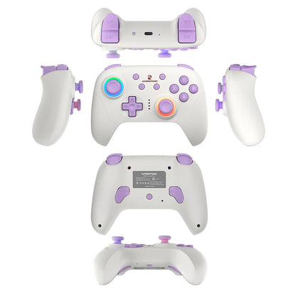 Gamepad ANBERNIC RG P01/RGP01 Bluetooth/Cableado con Joystick Efecto Hall RGB para Switch/PC/Steam/Android/iOS